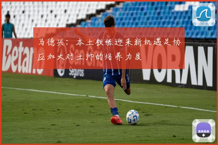 马德兴：本土教练迎来新机遇足协应加大对土帅的培养力度