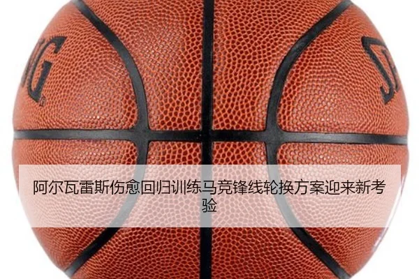 阿尔瓦雷斯伤愈回归训练马竞锋线轮换方案迎来新考验 | LDSPORTS